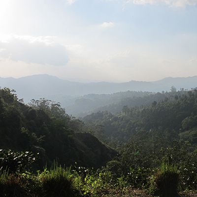 Monts Knuckles, Sri Lanka