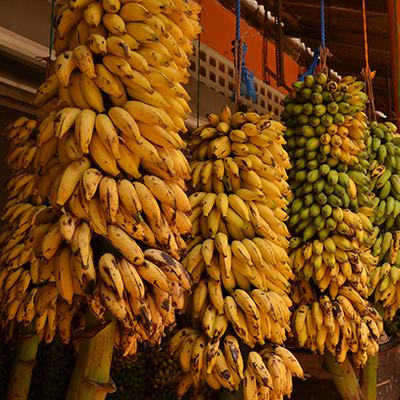 Bananes Sri Lanka