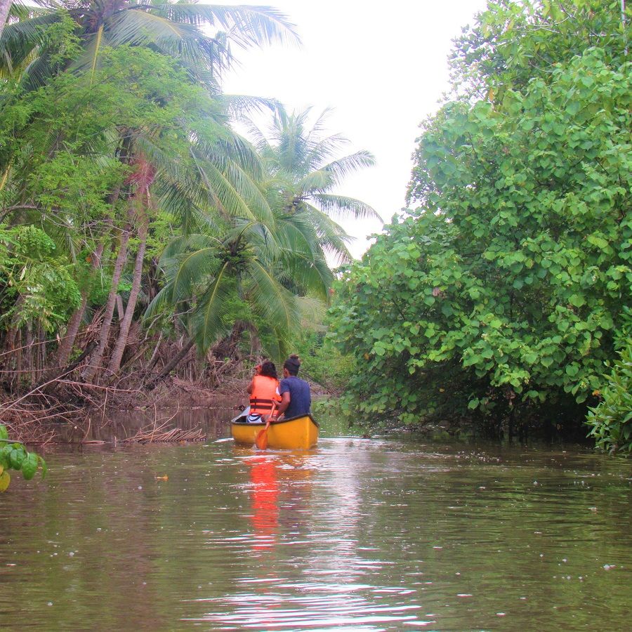 canoeing, mangroves, lagoon, unawatuna