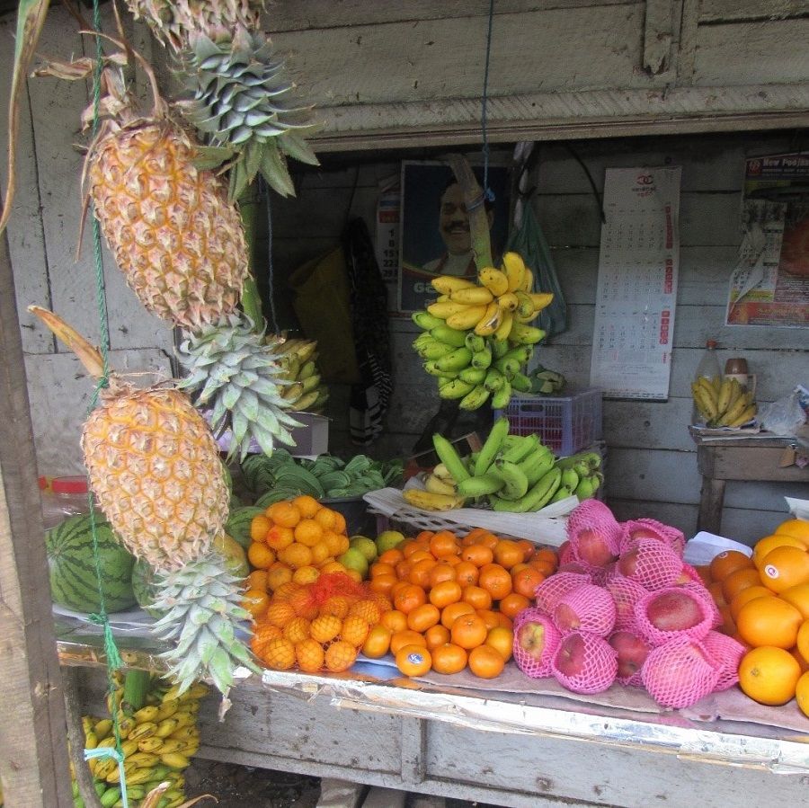 tropical fruits, unawatuna, sri lanka
