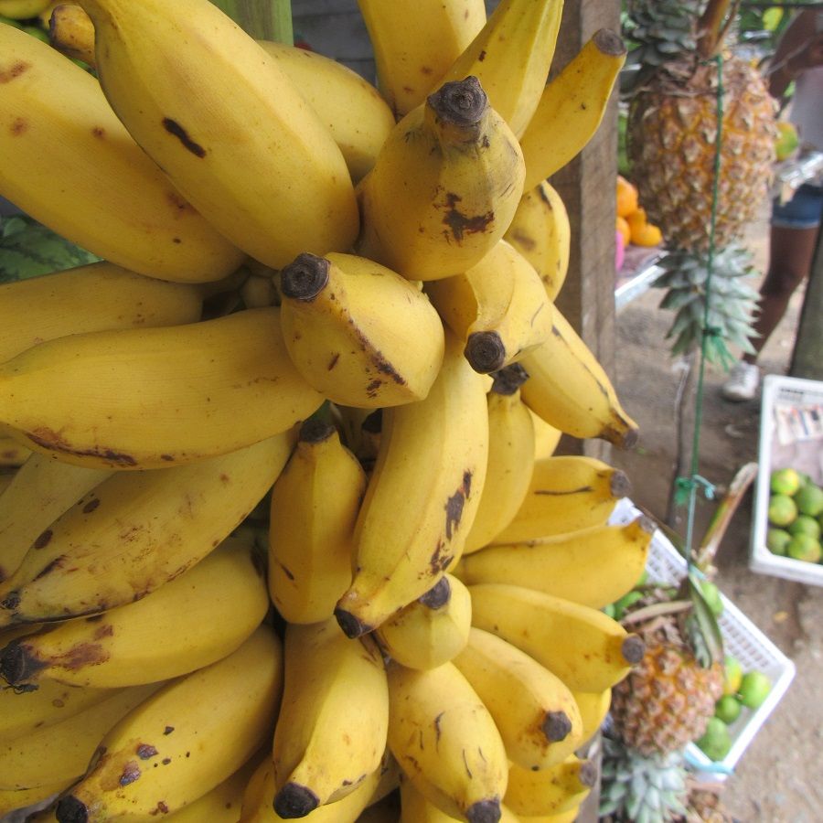 tropical fruits, hand of bananas, unawatuna, fruit stall, sri lanka