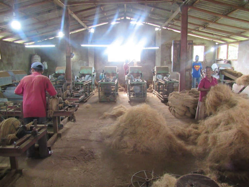 Coir mill factory workers & machinery