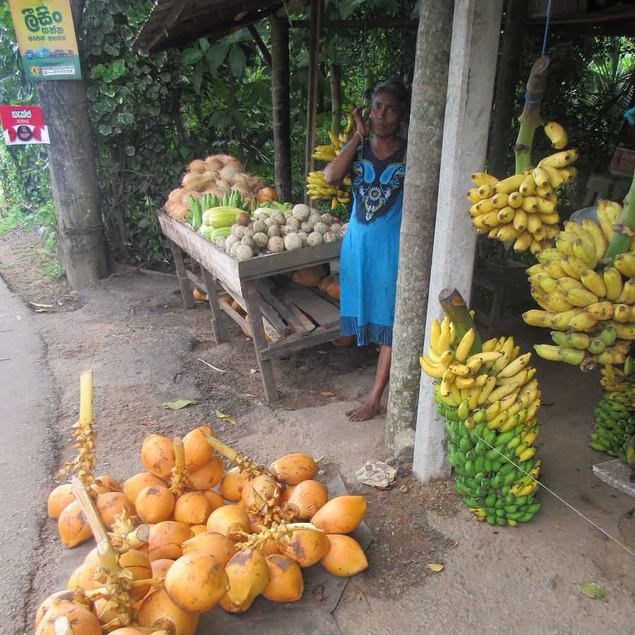 Fruits, Unawatuna, Sri Lanka
