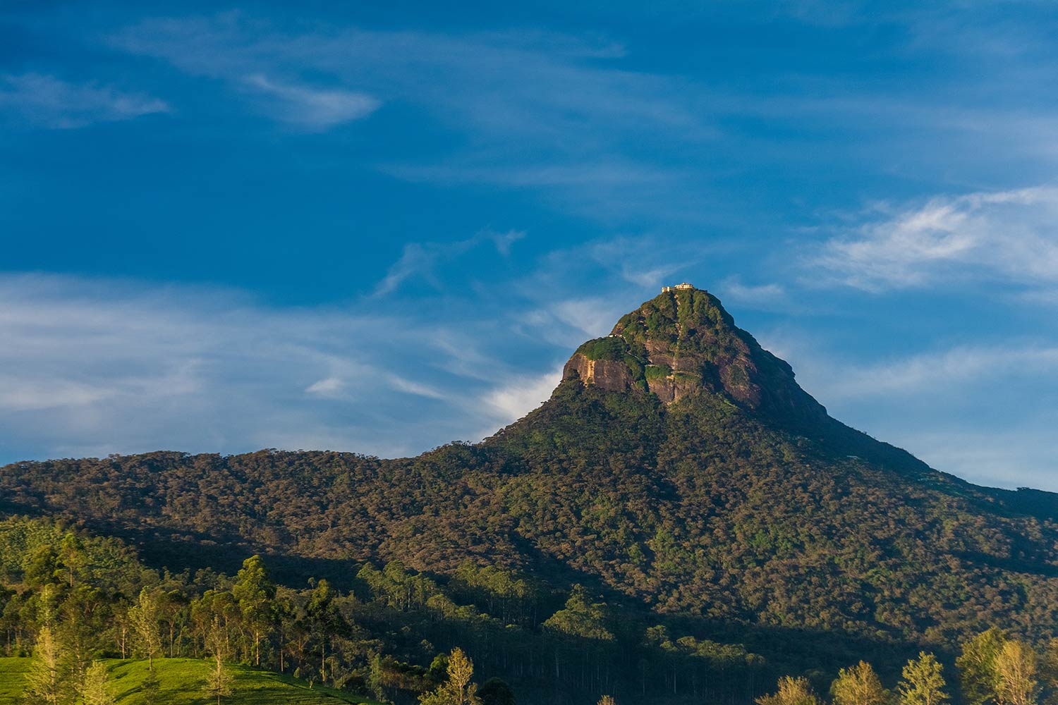 Le pèlerinage de l'Adam's Peak | Mai Blog