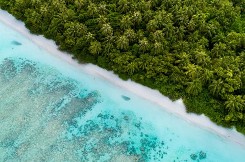Top 5 des bonnes raisons de prévoir un voyage aux Maldives