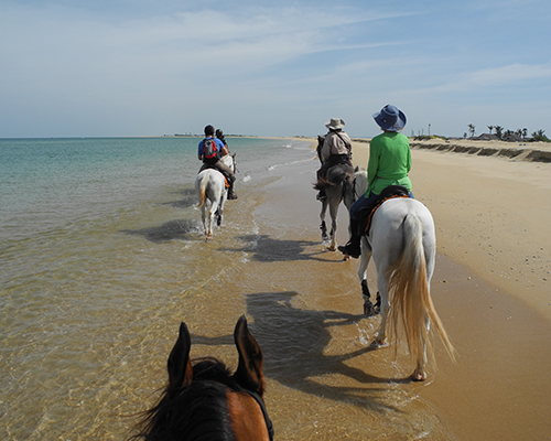 Kalpitiya Sri Lanka Horse Riding 