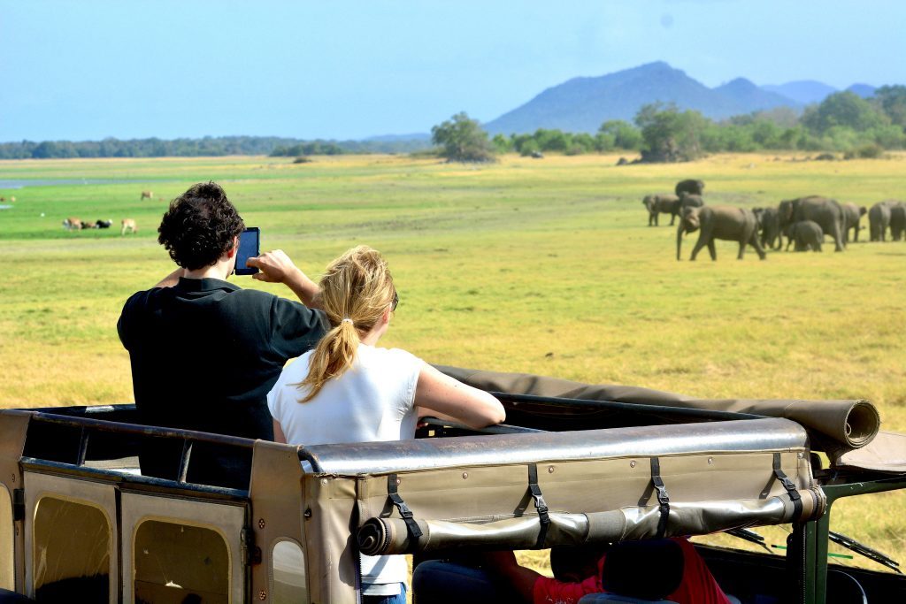 Safari Sri Lanka Minneriya National Park