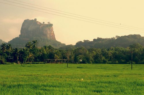 22 choses à savoir avant votre circuit au Sri Lanka : Partie 1