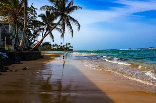 Découvrez les plages de la côte sud du Sri Lanka