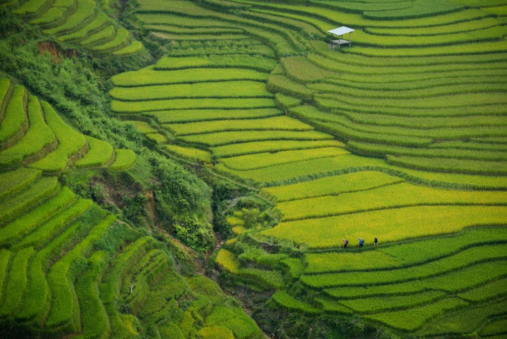 Quand voyager au Vietnam ? Saison des pluies