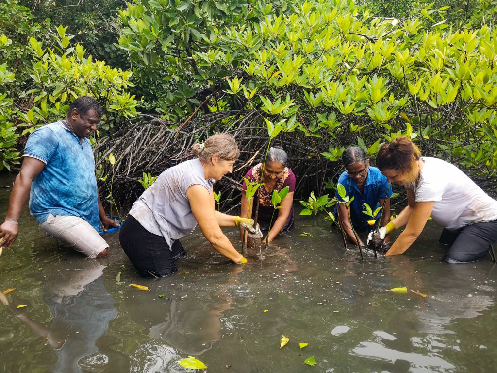 Contribution des voyageurs aux activités locales durant le voyage solidaire au Vietnam