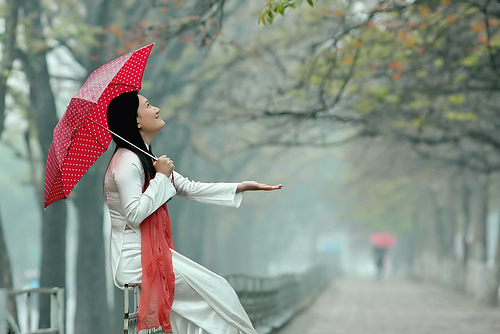 protection contre le soleil et la pluie au Vietnam