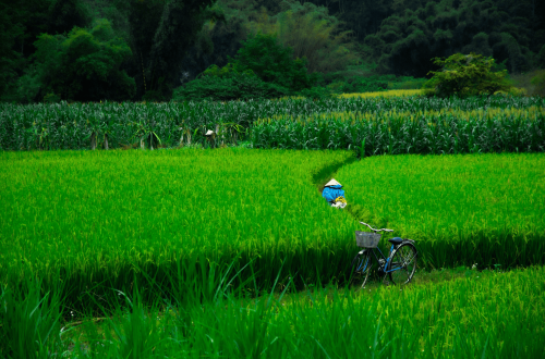 Road Trip Vietnam : 7 itinéraires qui vous marqueront à jamais