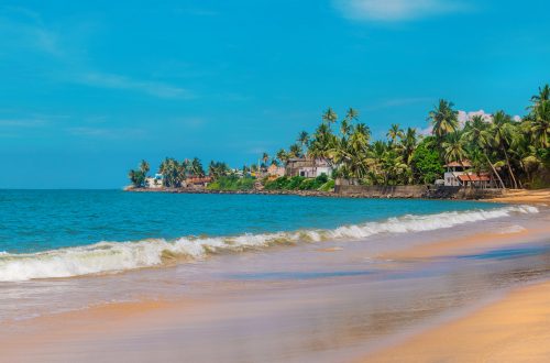 Digital Nomads au Sri Lanka : Arugam Bay et Ahangama, les incontournable