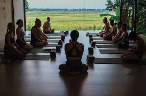 Retraites de yoga au Vietnam : où partir, quoi attendre et comment bien choisir