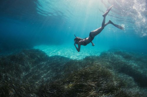 Sri Lanka avec des ados : quoi faire, quand partir, et comment organiser un circuit dynamique
