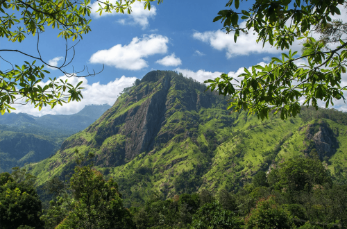 Les plus belles randonnées au Sri Lanka : guide pratique et itinéraires incontournables