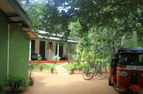 Homestays au Sri Lanka : immersion, limites et conseils pour bien choisir