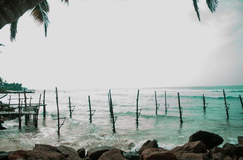 Pêche sur échasses au Sri Lanka : tradition, réalité actuelle et expérience sur place