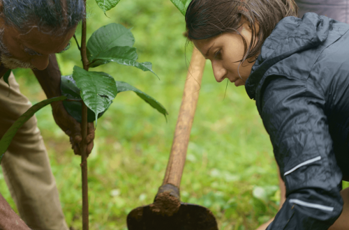Mai Globe Travels s&rsquo;engage pour la biodiversité au Sri Lanka avec le projet Wanakaset