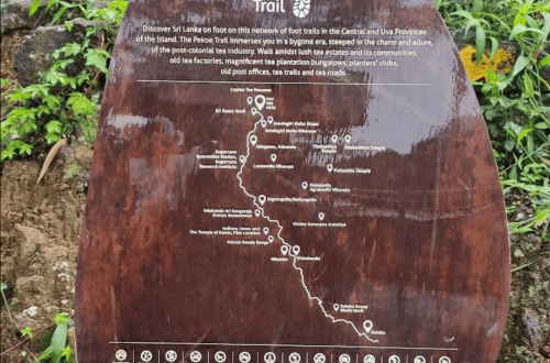 The Pekoe Trail au Sri Lanka : guide pour comprendre ce nouveau trek à travers le pays du thé