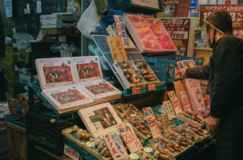 Que manger en automne au Japon ? Les incontournables de la saison des récoltes