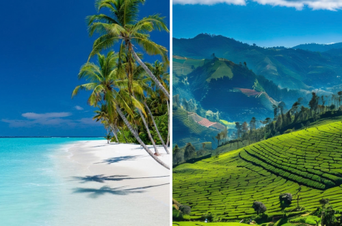 Combiner le Sri Lanka et les Maldives en un seul voyage