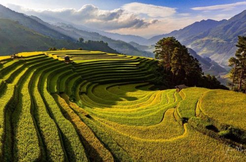 Mu Cang Chai : le guide complet des rizières en terrasses